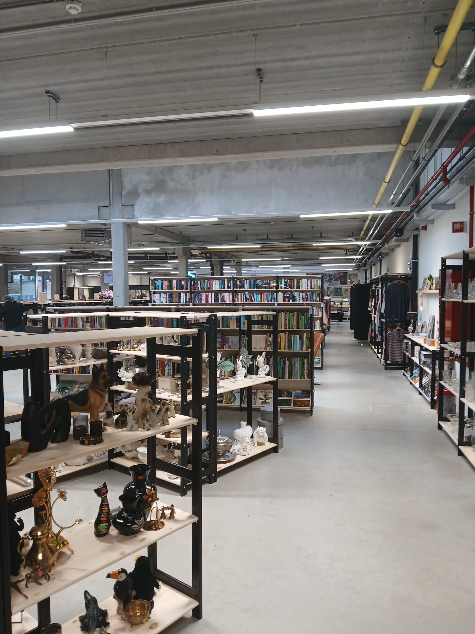 644266312_1332055228967822_5682165426932715133_n